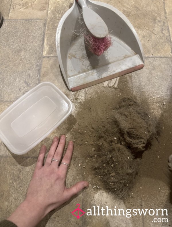 Dirt. From My Floor. And You’d Still Beg For It