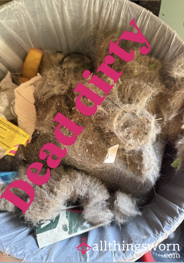 Dirty Bin Content