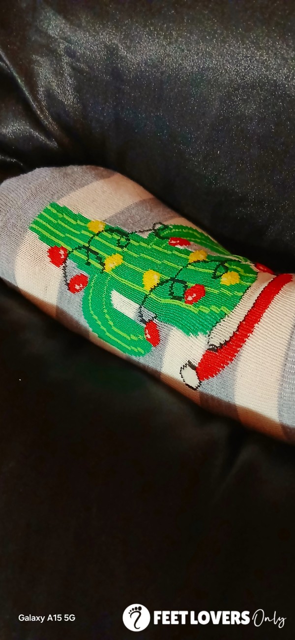 Dirty Christmas Cactus Socks. Worn Two Days And Extra Stinky.