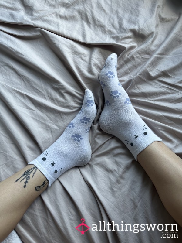 Dirty Cotton Kitty Socks 🐱 🦶 👃