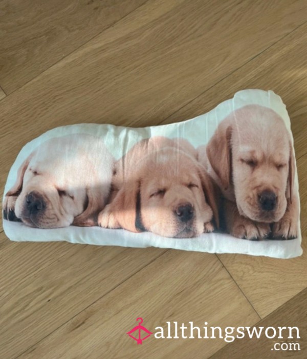 Dirty Cushion