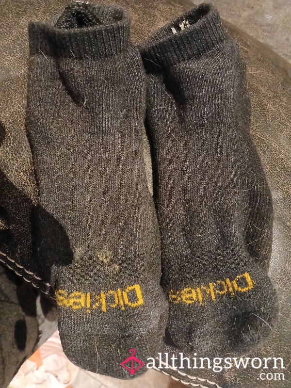 Dirty D*ckies Ankel Socks From Cat And Dog Friendly Home