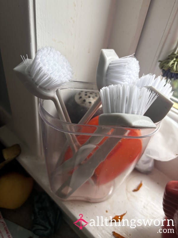 Dirty Dish Brush