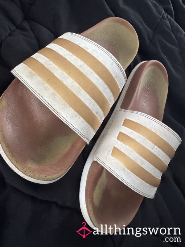 Dirty Flats From Mexico