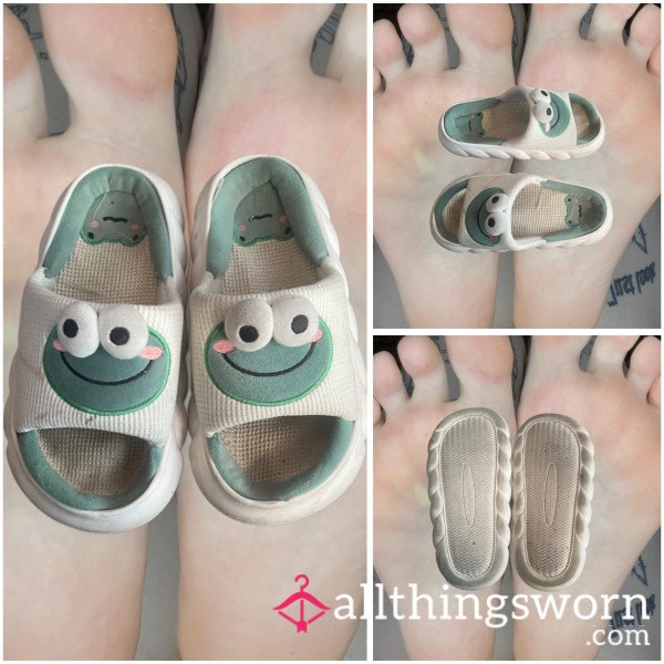 ꕤ DIRTY FROG SLIPPERS ꕤ