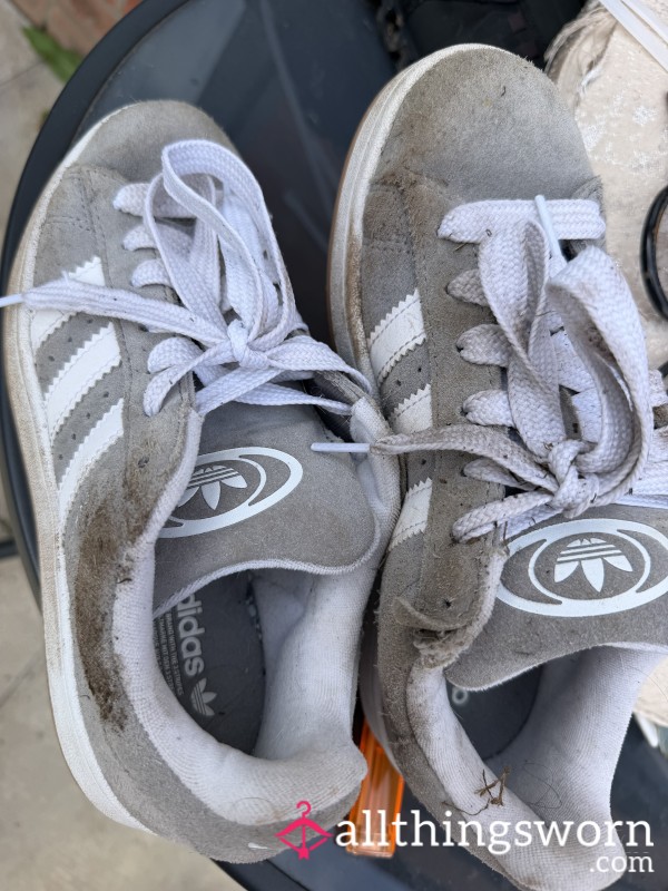DIRTY GREY CAMPUS