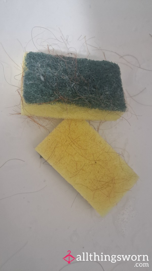 Dirty Hairy Sponges