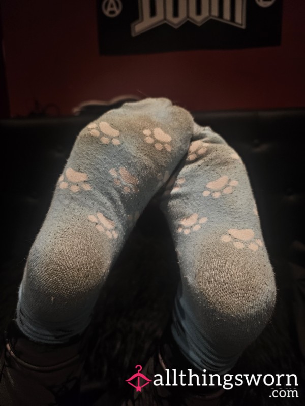 Dirty Kitten Socks