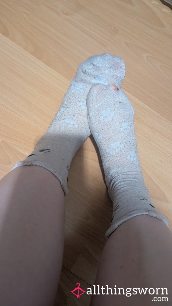 🐾 Dirty Kitty Socks – Worn Thin & Ready For Your Obsession 🖤