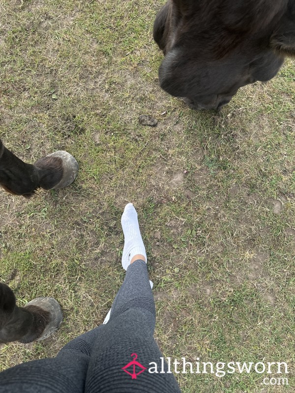 Dirty Nike Socks 🐴🦶🏽
