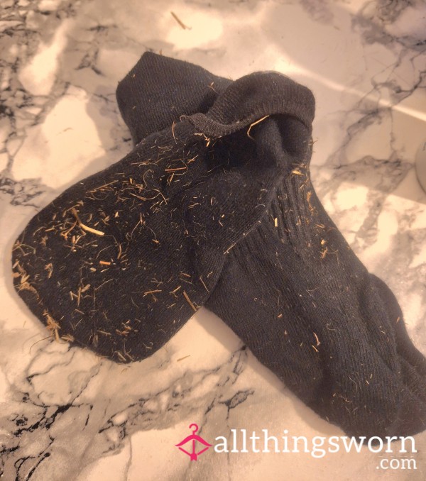 Dirty Odd Socks / Covered In Hay