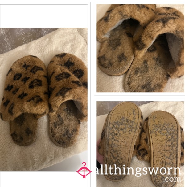Dirty, Old, Smelly Slippers