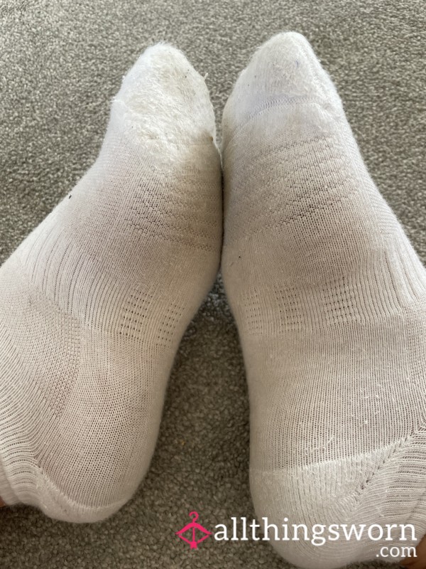 Dirty Old Smelly Socks