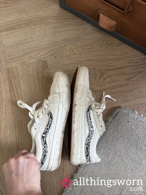 Dirty Old Vans