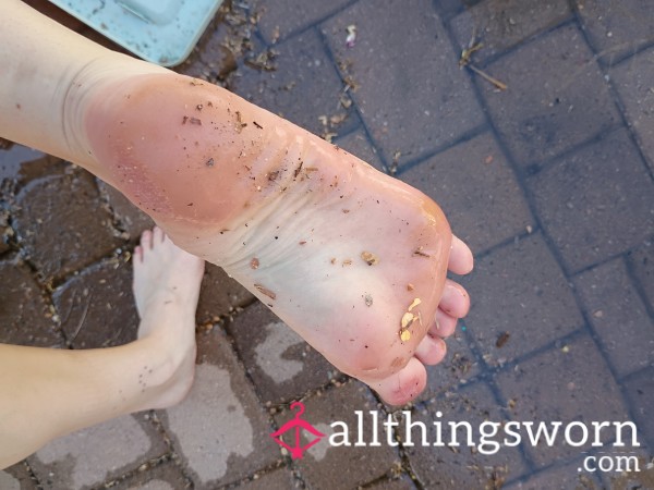 Dirty Piggies 🐖