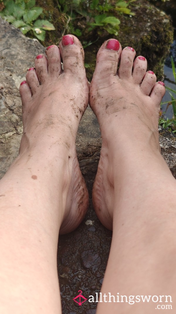 Dirty Piggy's