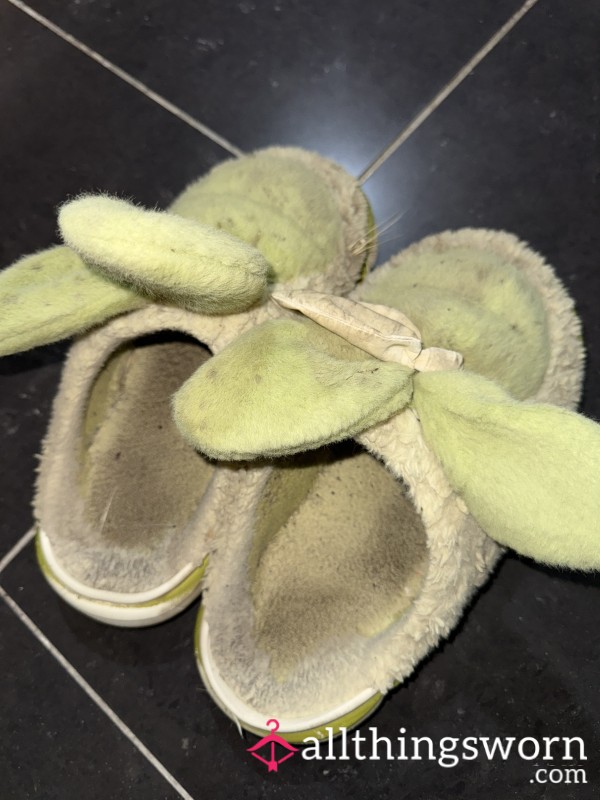 Dirty Slippers