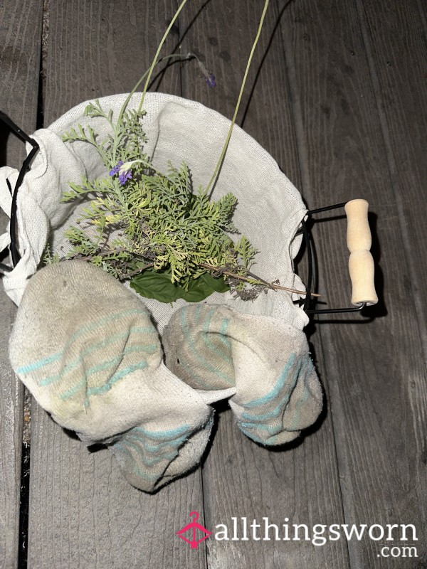 Dirty. Smelly. Ripe. Socks