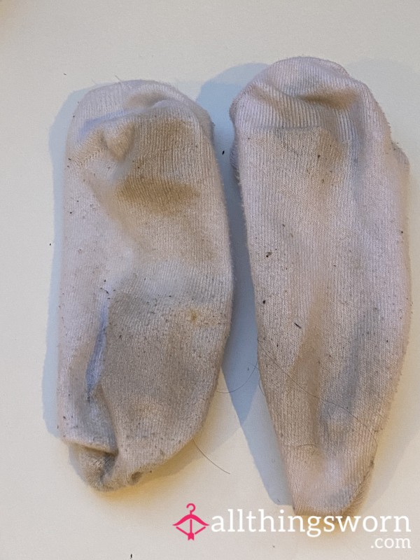 Dirty Sock Pictures