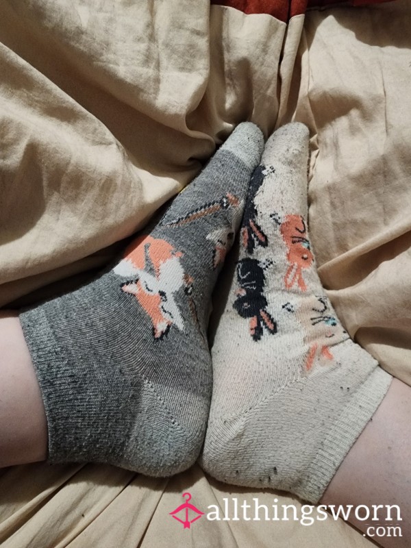 Dirty Socks