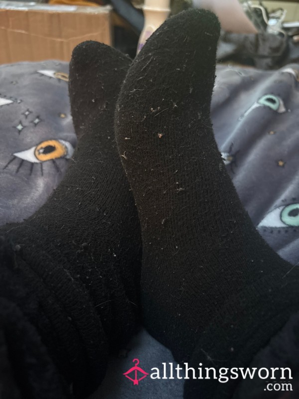 Dirty Socks For Sale