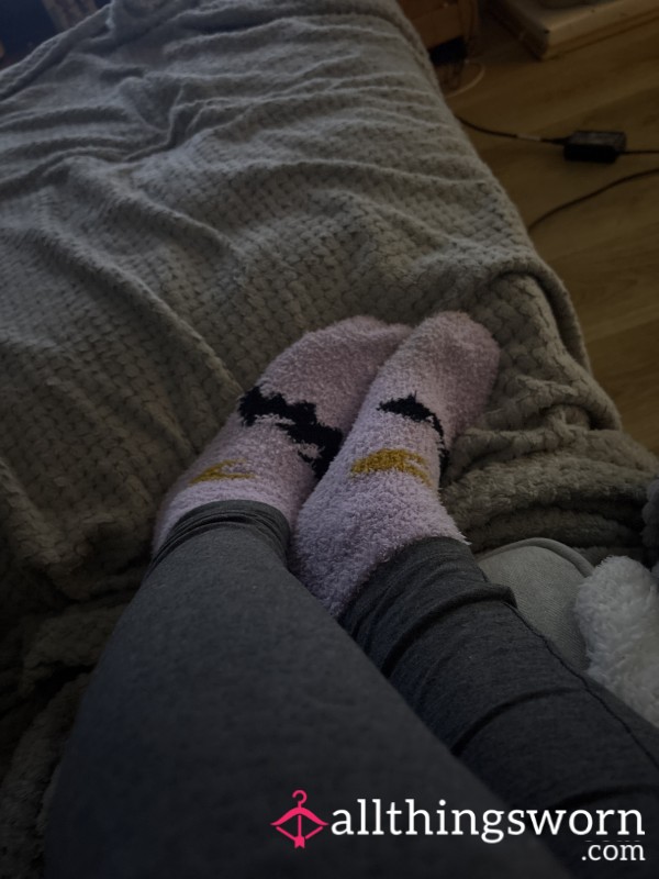 Dirty Socks For Sale😜