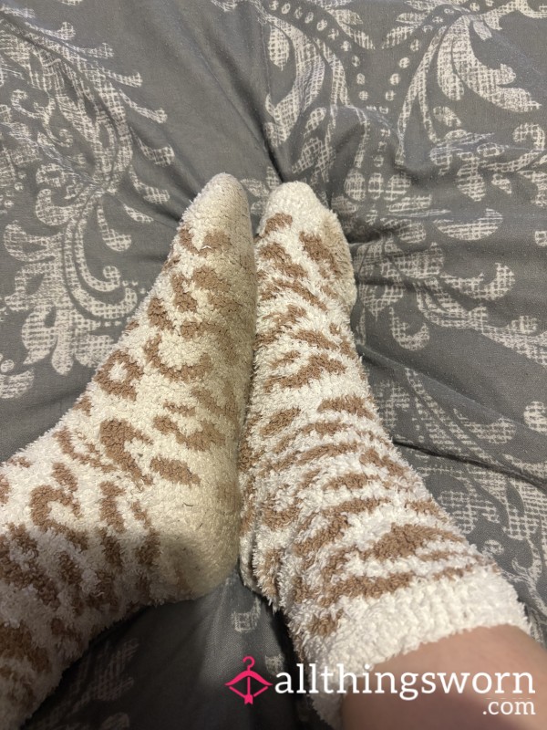 Dirty Socks Worn All Day And Night