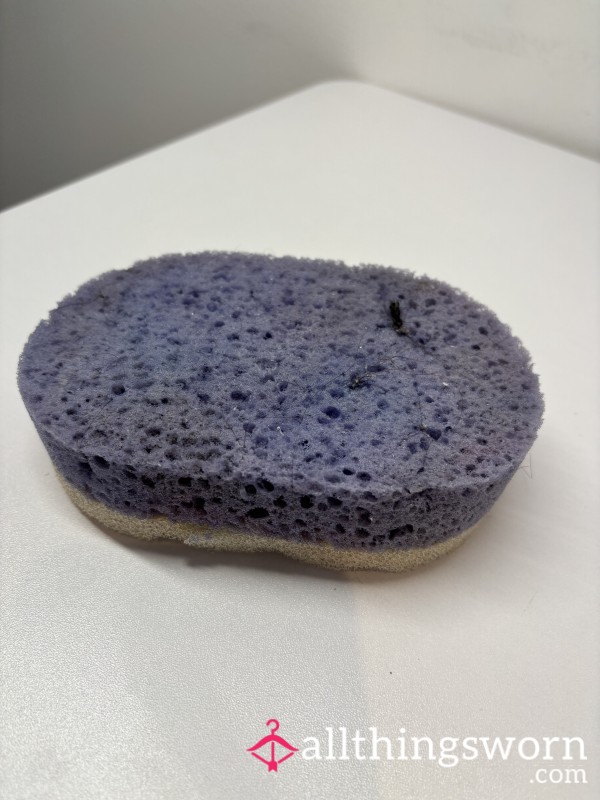 Dirty Stinking Used Sponge !