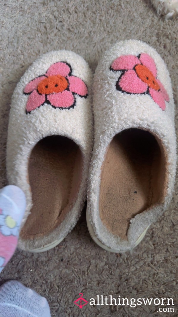 Dirty Stinky House Slippers