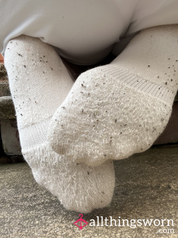 Dirty Trainer Socks Well Worn