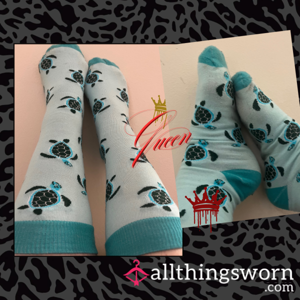 🐢 Worn Thick Turtle Socks – Cozy, Cute, And A Little Bit Naughty 🐢 Worn For 2 Full Days