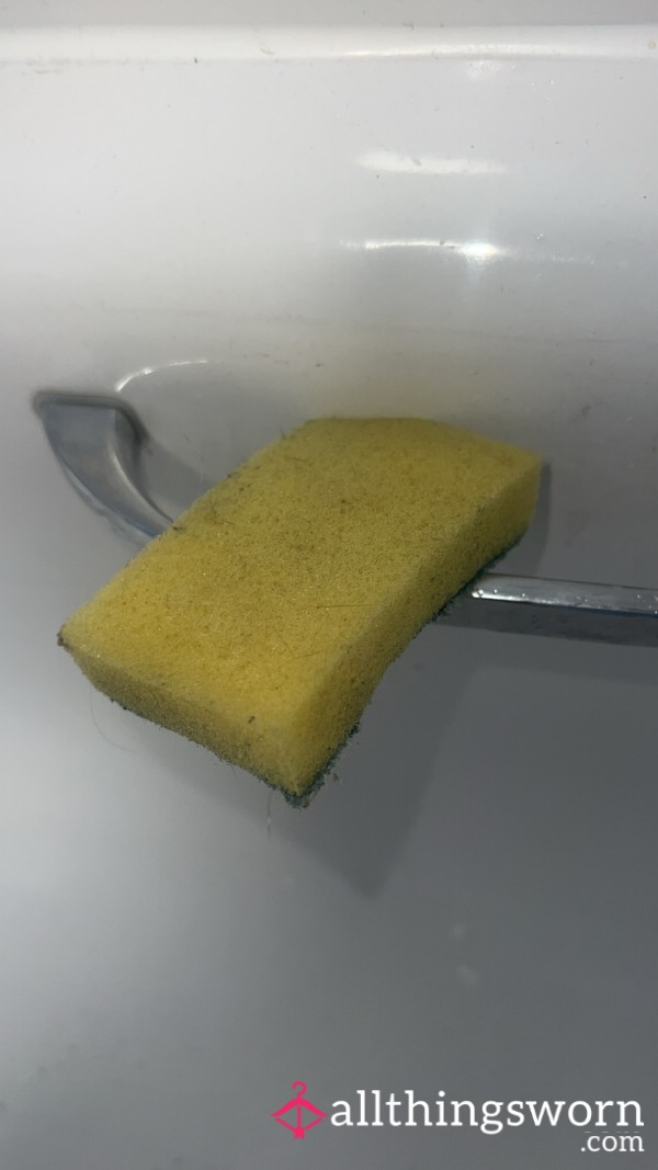 🧽dirty Used Bathroom Sponge🧽