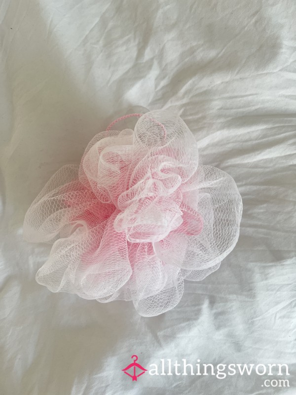 Dirty Used Loofa