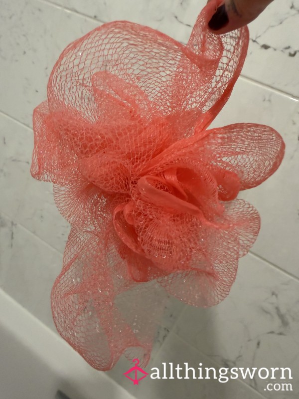 Dirty, Well Used Shower Sponge