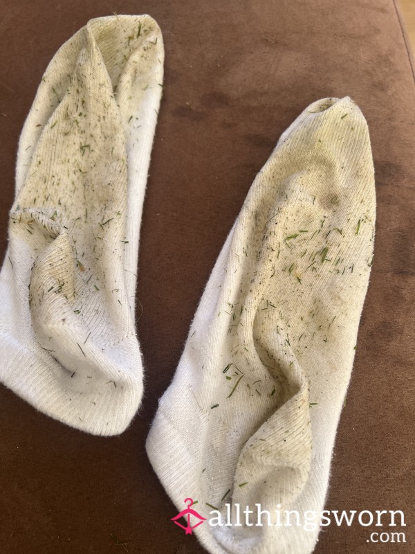 Dirty Wet Socks