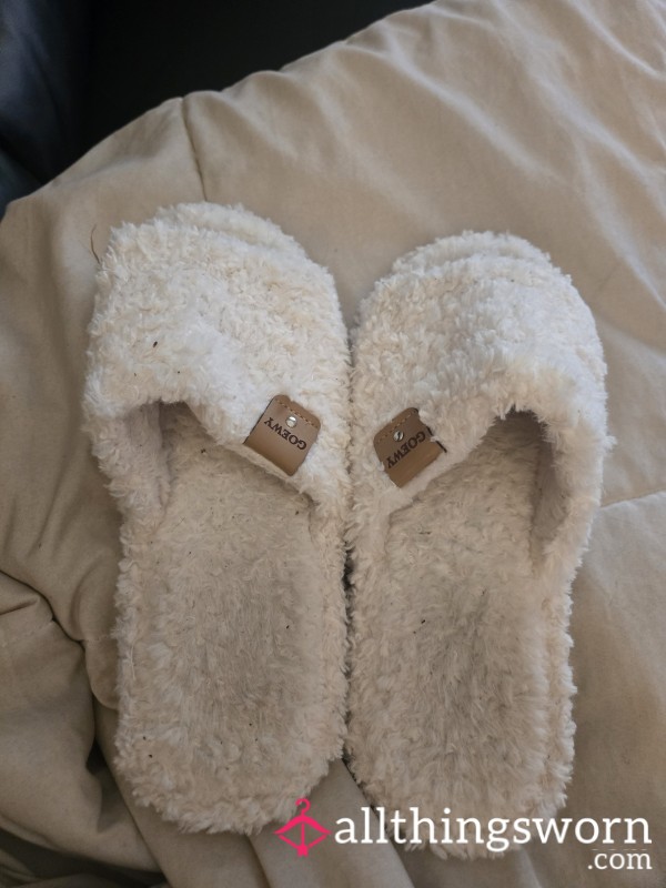 Dirty Worn Out Slippers