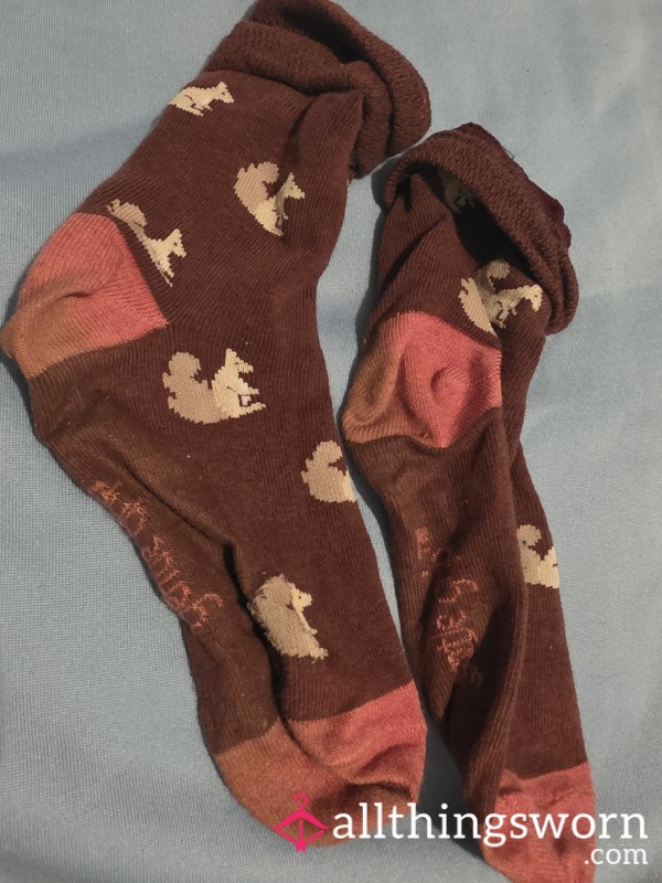 Dirty.smelly.squirel.socks.