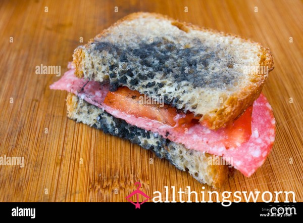 Disgusting Sandwich 🥪