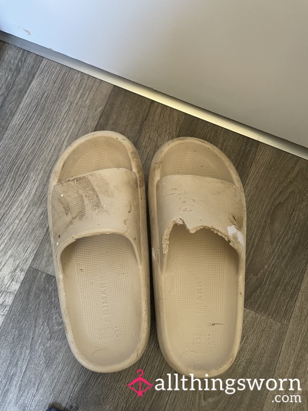Disgusting Sliders