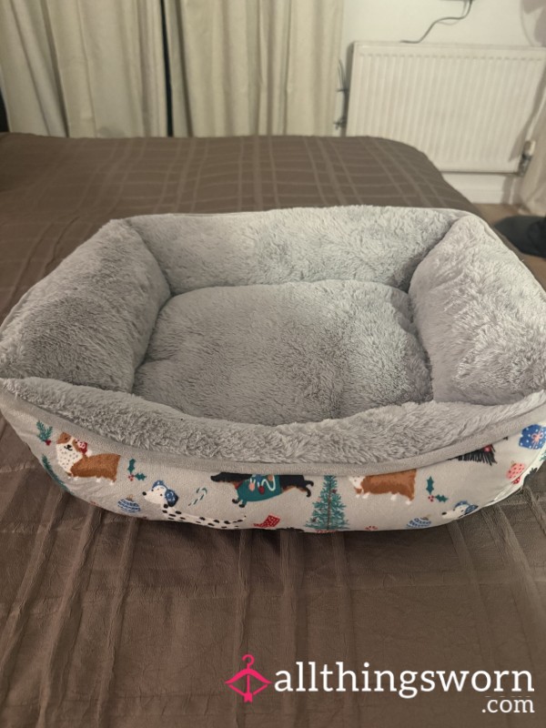 Dog Bed For A Good Little Pup