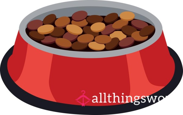 Dog Bowl Full Of Trampled Food ! Includes UK Postage