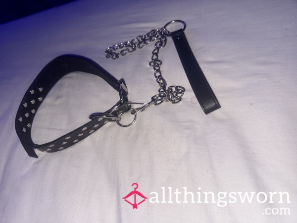Dog Leash