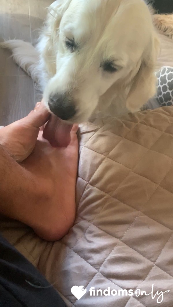 Dog Loves Feet