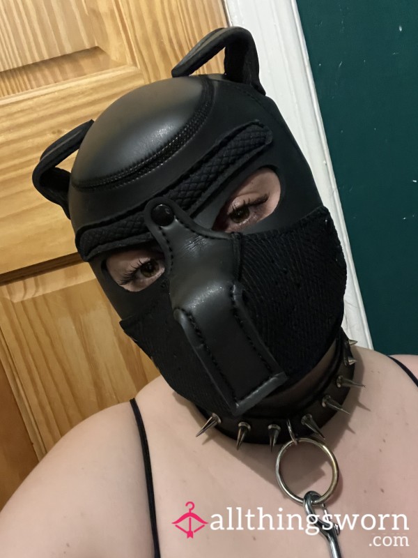 Dog Mask And Latex Bodysuit Body Pics