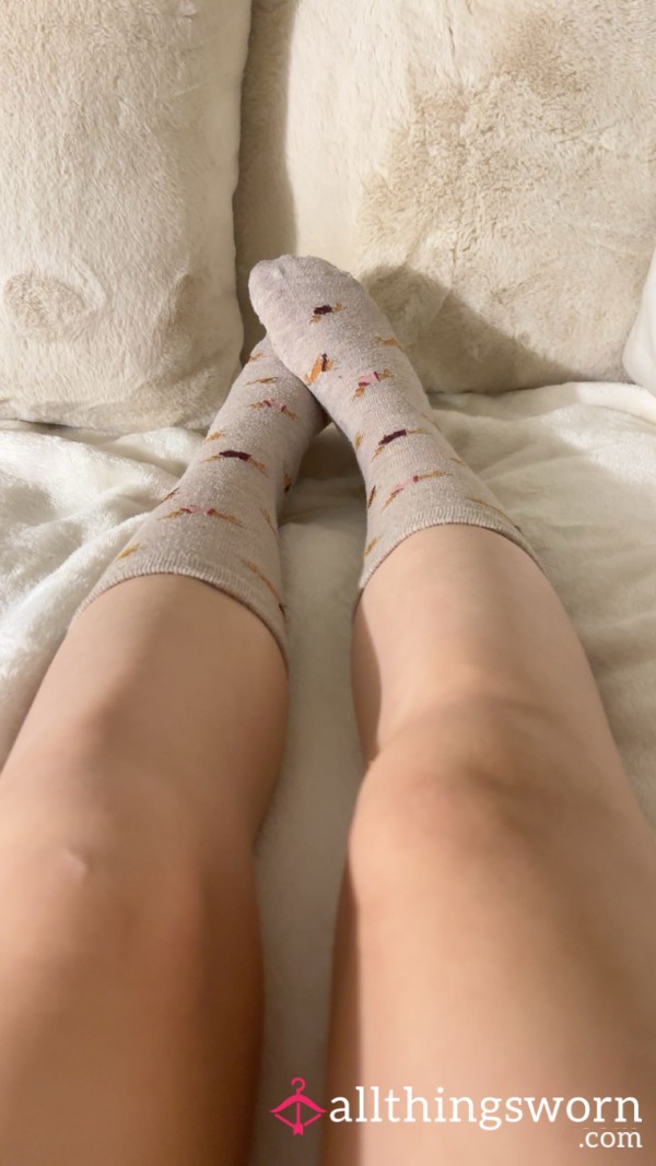 Dog Socks