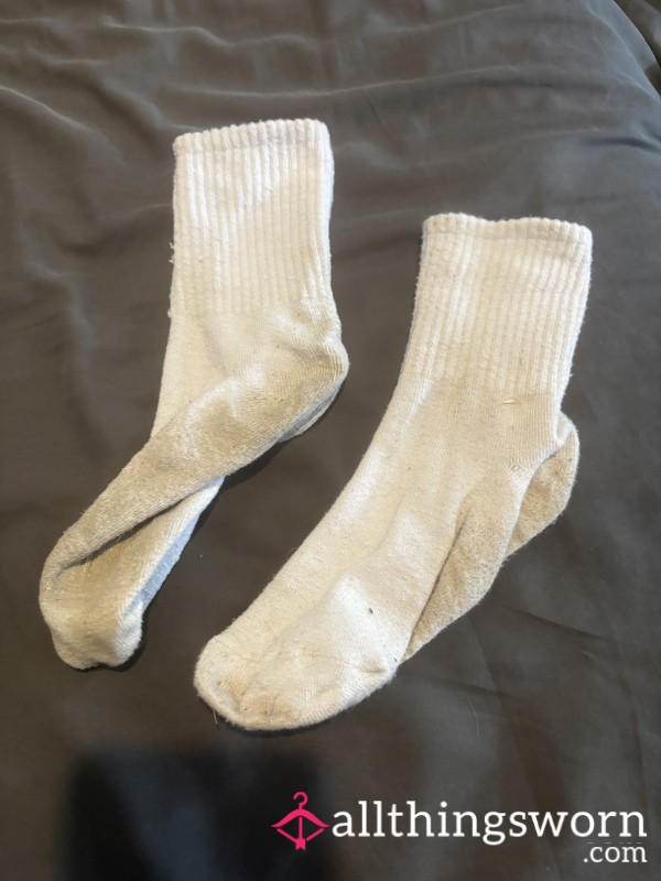 Dog Walk Socks