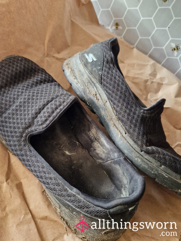 Dog Walking Sketchers