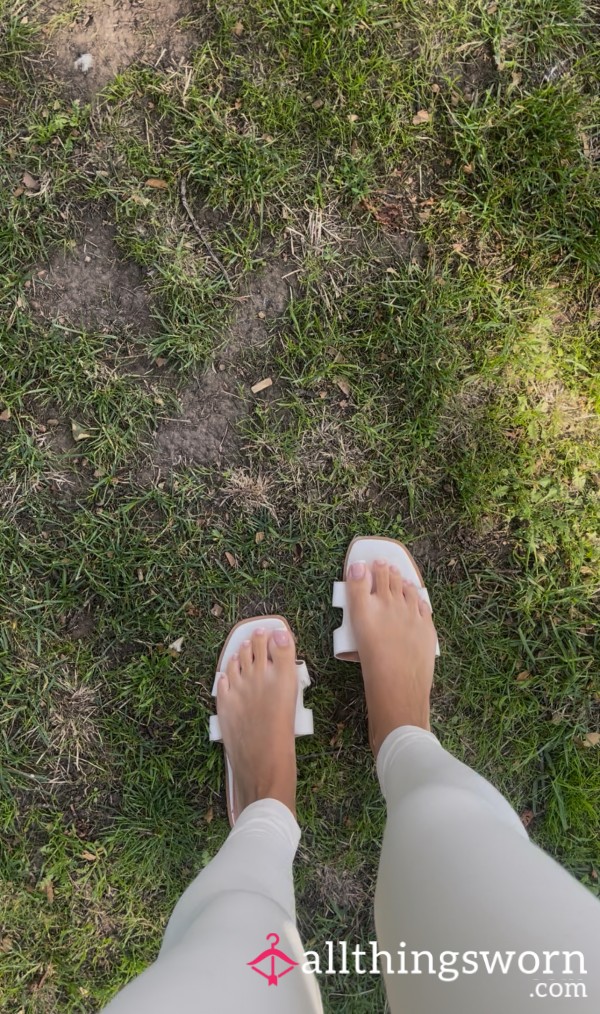 Dog Walks & Feet