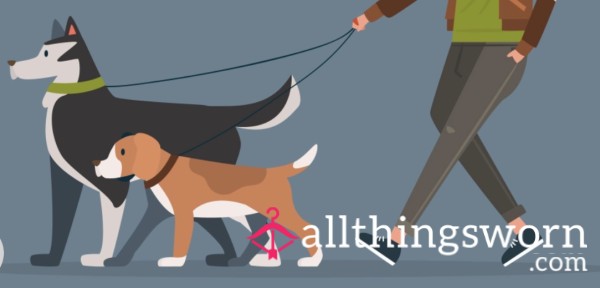 Dog Walks