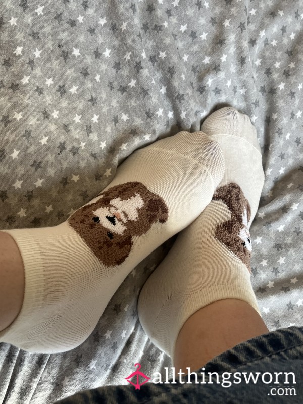 Doggie Socks